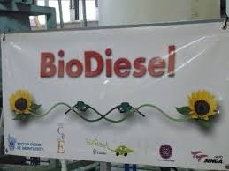 Biodiesel