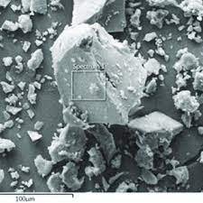 Biopolymers