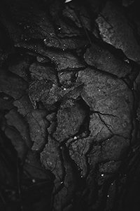 Carbon Capture