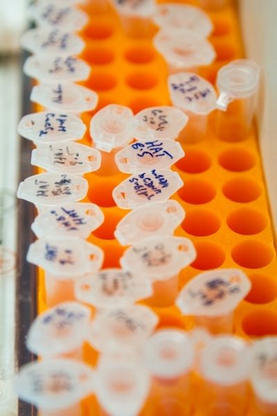 Genetic Engineering