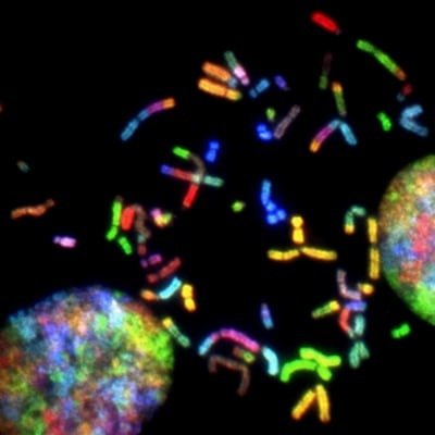 Genomics
