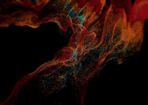 metaverse