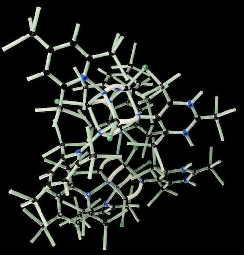 Biotechnology
